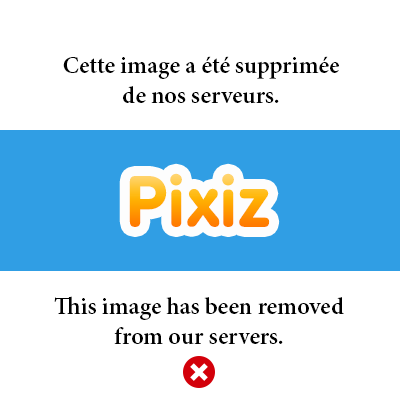 Featured image of post Pixiz Free Fire Photo Editor